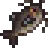 Catfish.png