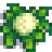 Cauliflower Stage 6.png
