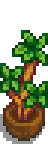 Corn Plant.png