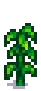 Corn Stage 5.png
