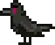 Crow.png