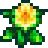 Daffodil.png