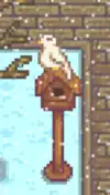 Dove on bird house