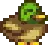 Duck.png