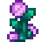 Fairy Rose.png