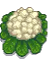Giant Cauliflower.png