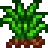 Grass Starter.png