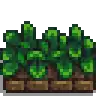 Junimo Plant.png
