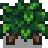 Junimo Stool.png