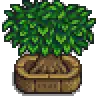 Junimo Tree.png