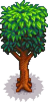 Mahogany Tree Portrait.png
