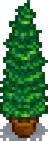 Manicured Pine.png