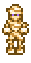 Mummy Anim.gif