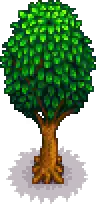 Oak tree portrait.png