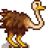 Ostrich.png