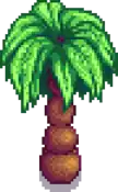 Palm Stage 3.png
