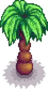 Palm tree portrait.png