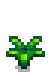 Pineapple Stage 3.png
