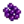 Purple Roe.png