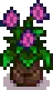 Seasonal Plant 1 Summer.png