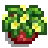Small Plant.png
