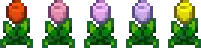 TulipColors.png