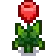 Tulip Stage 6.png
