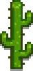 Wall Cactus.png