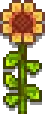 Wall Flower.png