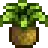 Wild Horseradish.png