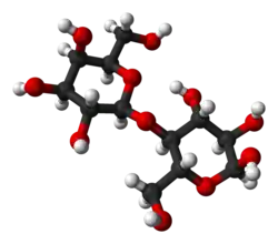 The molecular structure of α-lactose, as determined by X-ray crystallography.