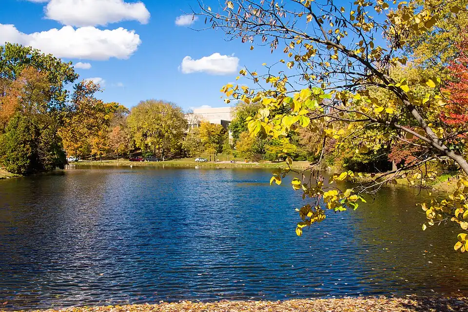 Perspectives of Aquatic Toxicology