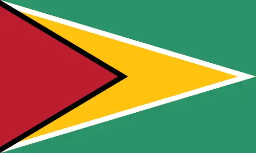 Flag of Guyana