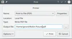 Print.configure dialog