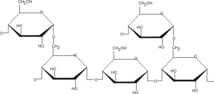 Glycogen bonds