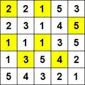 Example of Hitori solved puzzles