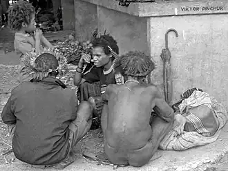In thought about topical (Indonesia, 2013) Photo taken on a Papuan expedition