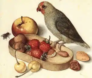 The demo program: 16.3 Kb