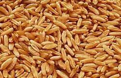 बी = Seed pronounced as B