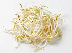 Mung bean sprouts