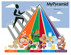 My Pyramid Food