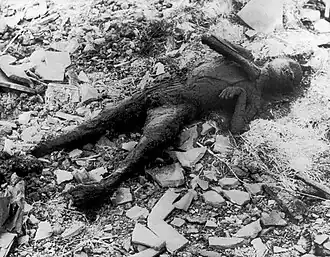 A person carbonized by the blast. Horrific deaths like this were common as a result of the bombing.
