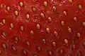 Closeup of the surface of a strawberry