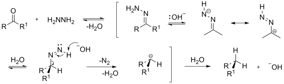 The mechanism of Wolff-Kishner reduction