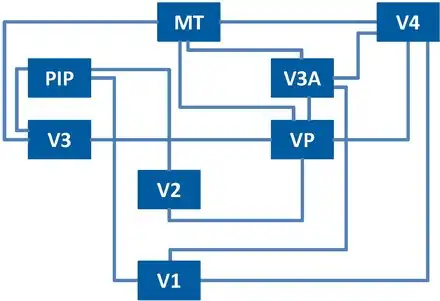 (Partial) flow diagram illustrating the many streams of visual information processes that take place in the visual cortex. It is important to note that information can flow in both directions.