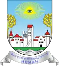 Coat of arms of Neman