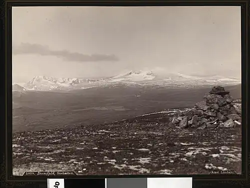 View from a distance