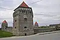 Skalat Castle