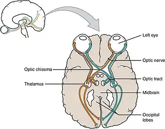 refer to accompanying text