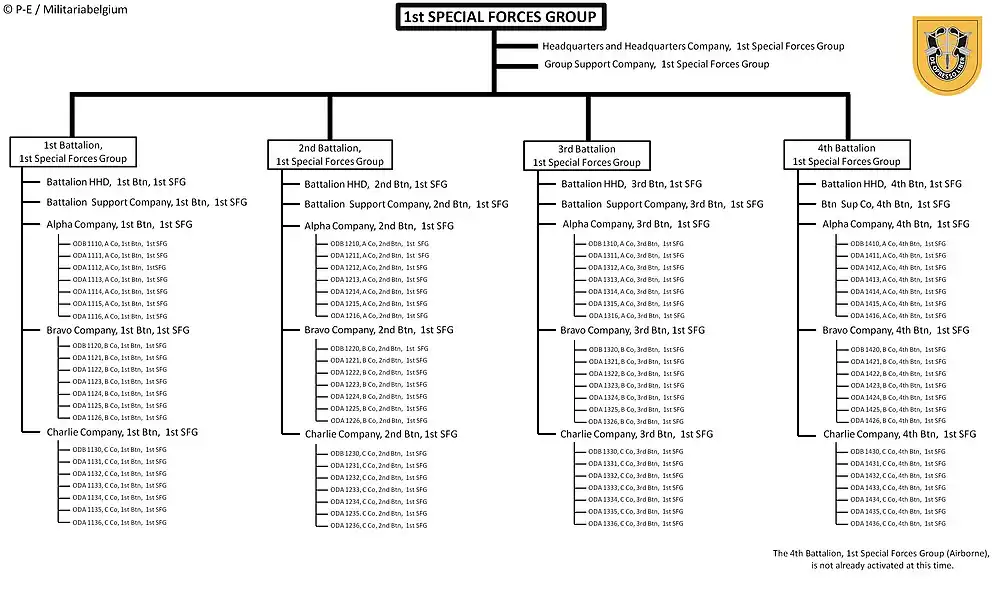Current structure of the 1st SFG (A)